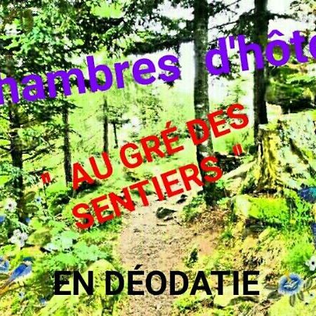 Au Gre Des Sentiers Chez Marie Et Pierre Bed & Breakfast Saint-Die-des-Vosges Exterior photo