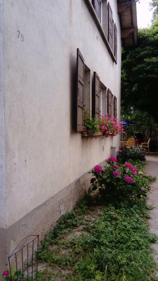 Au Gre Des Sentiers Chez Marie Et Pierre Bed & Breakfast Saint-Die-des-Vosges Exterior photo